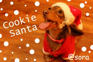 Cookie Santa
